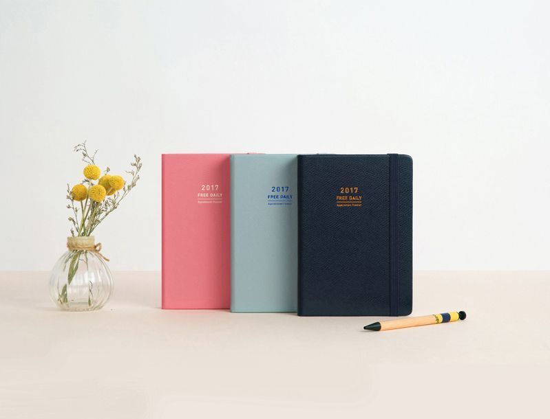 2017 Medium Daily Appointment Planner