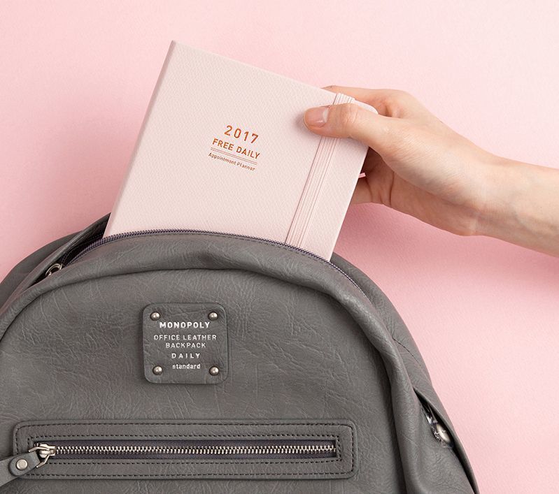 2017 Medium Daily Appointment Planner