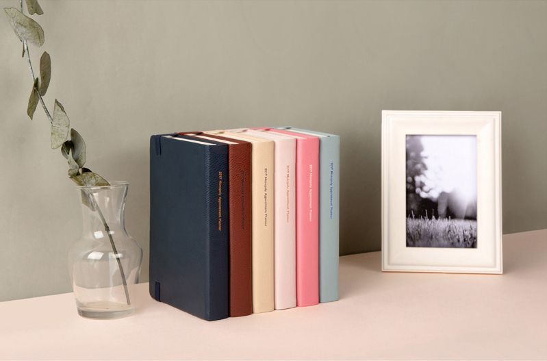 2017 Medium Daily Appointment Planner