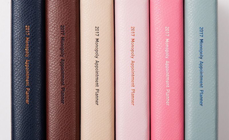 2017 Medium Daily Appointment Planner