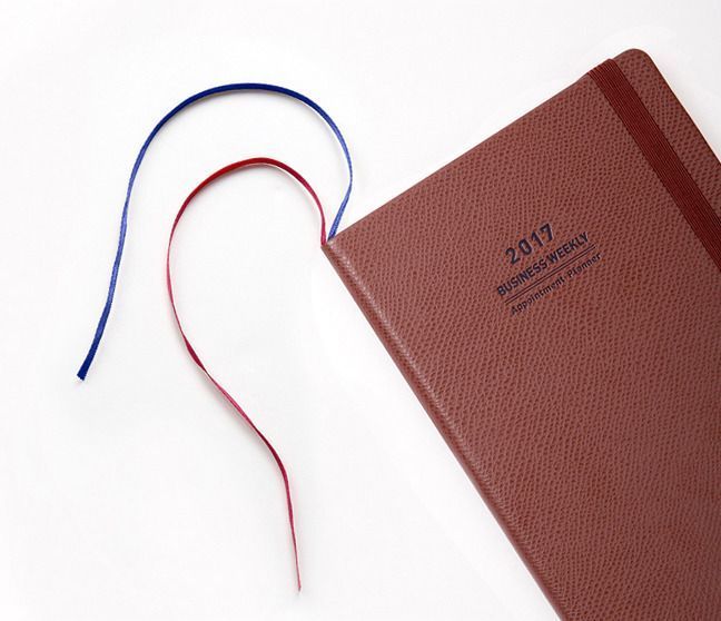 2017 Medium Daily Appointment Planner