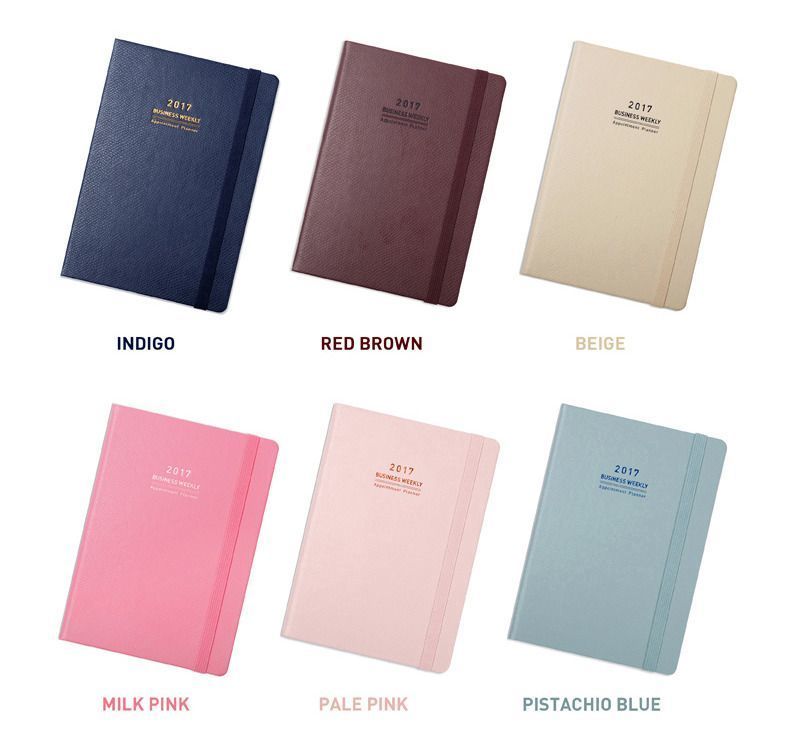 2017 Medium Daily Appointment Planner