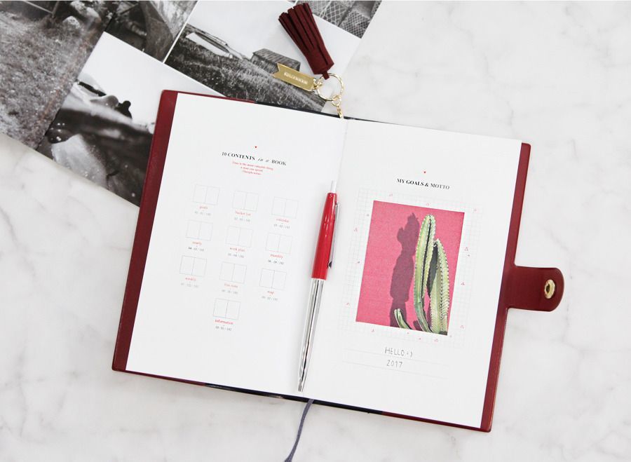 2017 Tassel Ring Diary Scheduler