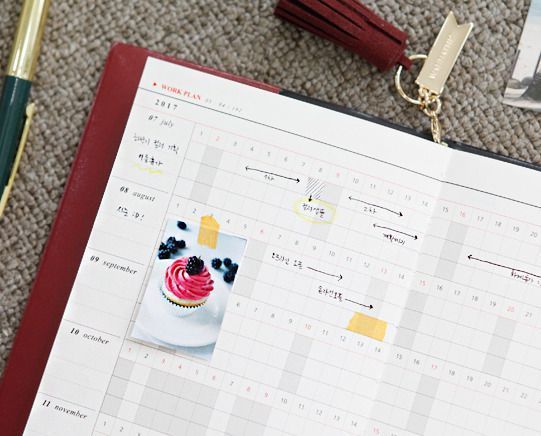 2017 Tassel Ring Diary Scheduler