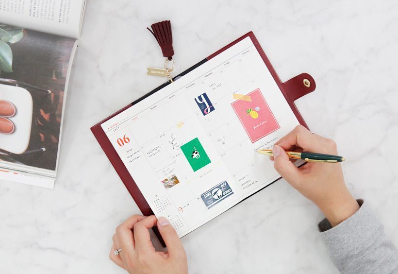 2017 Tassel Ring Diary Scheduler