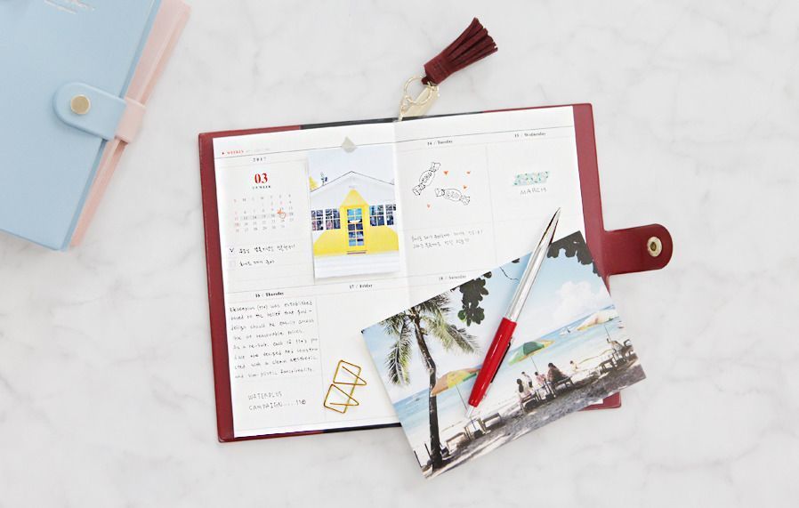 2017 Tassel Ring Diary Scheduler