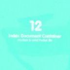 Multi File Holder, 12 Pocket (Mint)