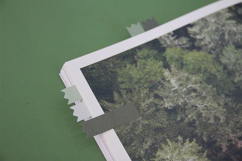 MochiThings Zig Zag Index Sticky Note Set