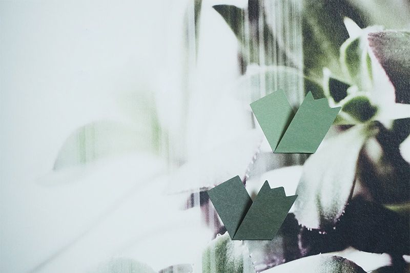 Zig Zag Index Sticky Note Set