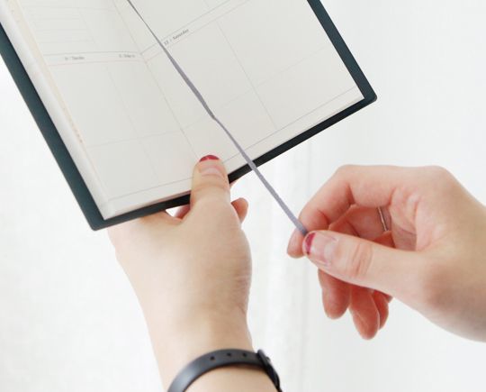 Picto Life Scheduler