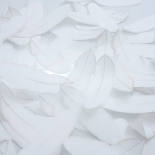 Feather Sticky Note - Image 11