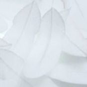 Feather Sticky Note, White
