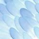 Feather Sticky Note, Blue