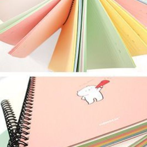 Lazy Cat Colorful Notebook