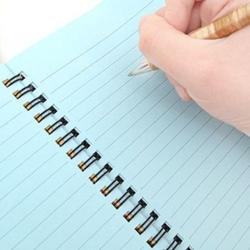 Lazy Cat Colorful Notebook