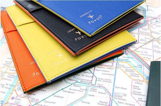 Dégagé Anti Skimming Passport Case