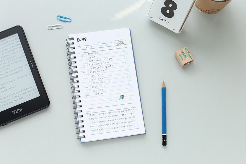 100 Day Daily Planner