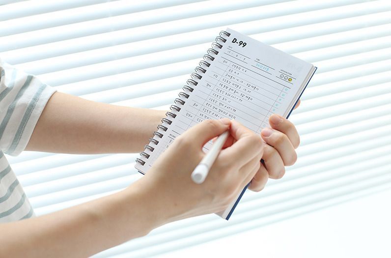 100 Day Daily Planner