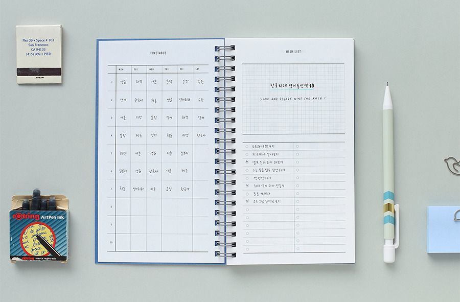 100 Day Daily Planner