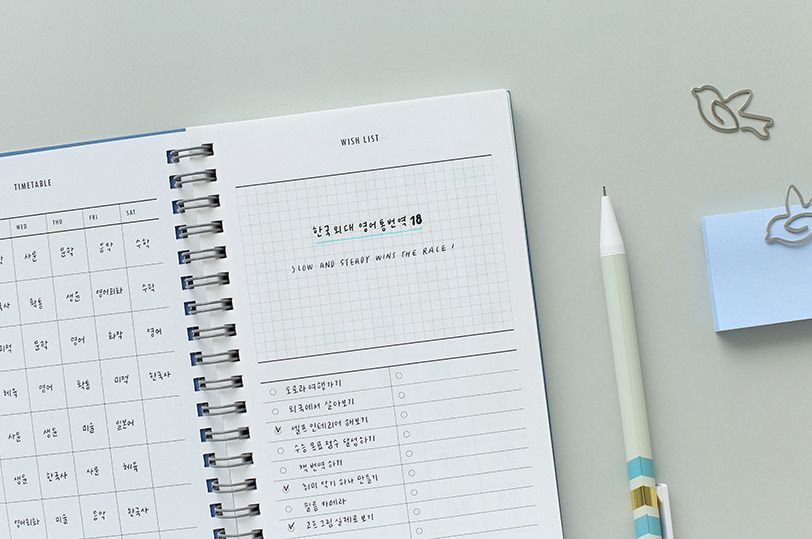 100 Day Daily Planner