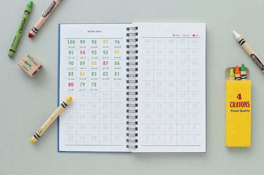 100 Day Daily Planner
