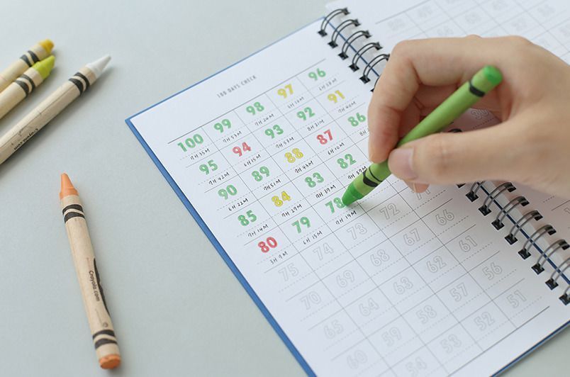 100 Day Daily Planner