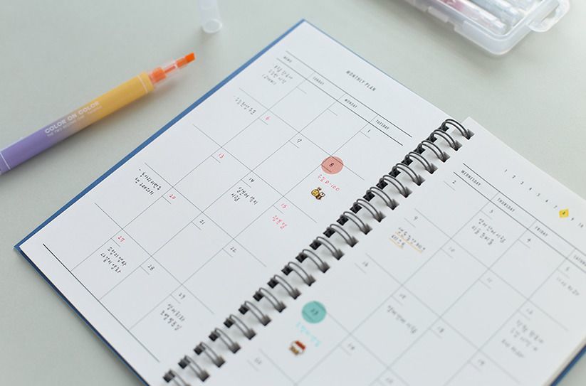 100 Day Daily Planner