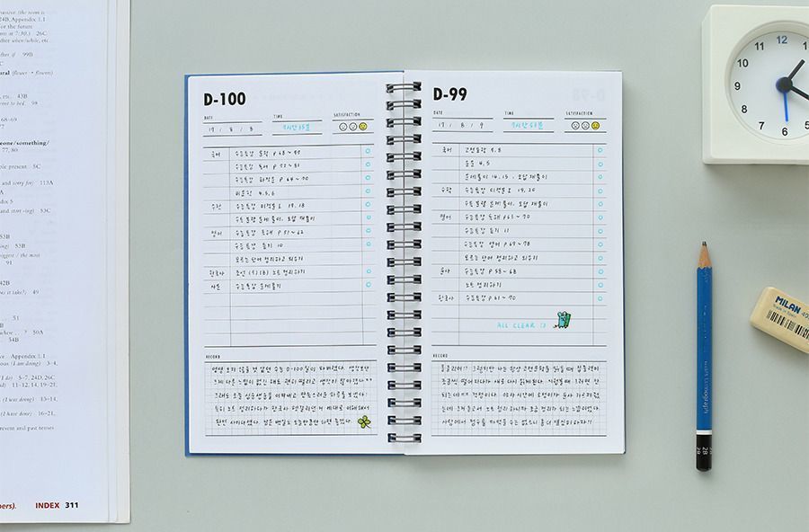 100 Day Daily Planner