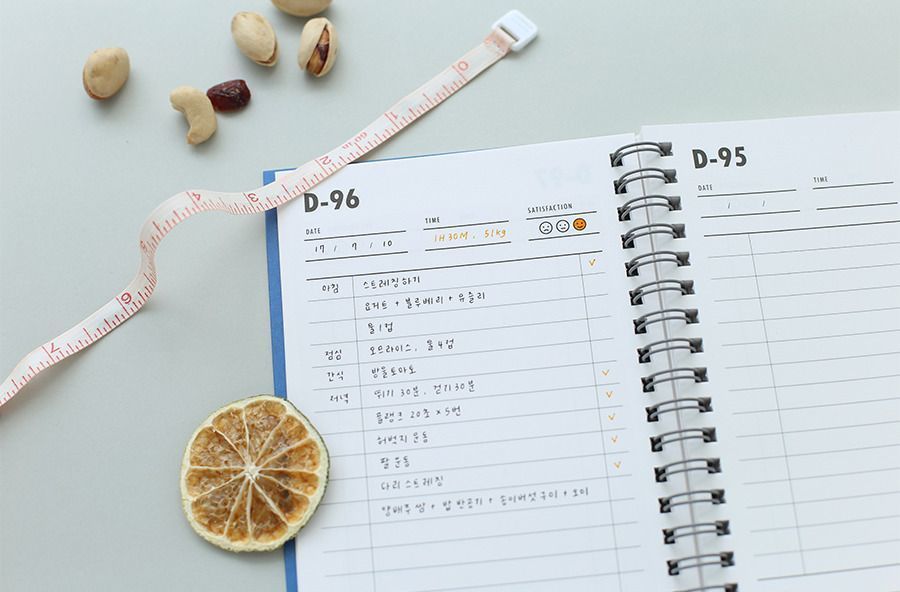 100 Day Daily Planner