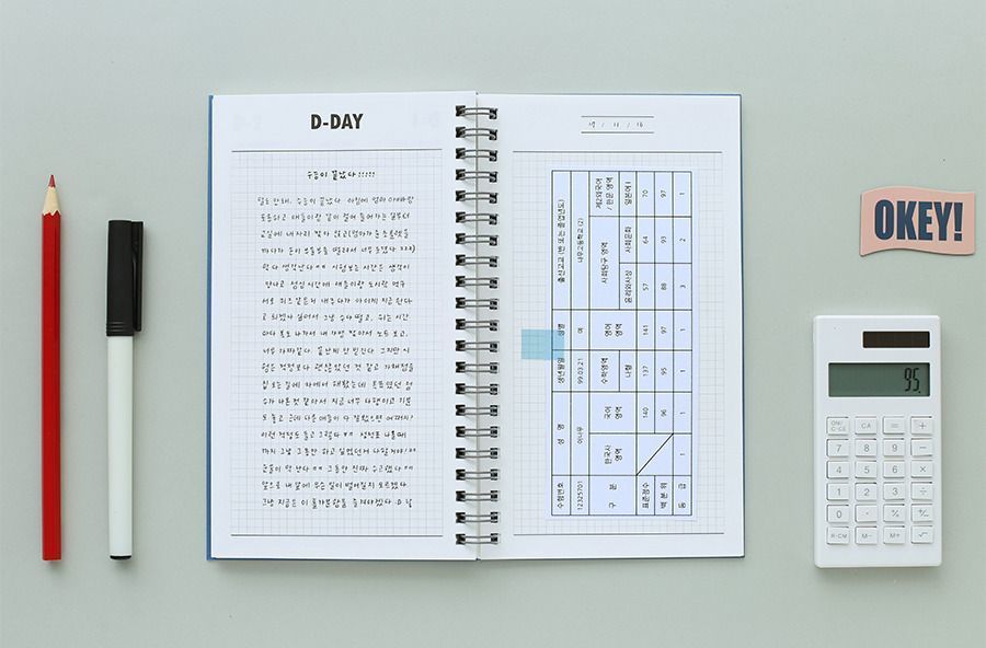 100 Day Daily Planner