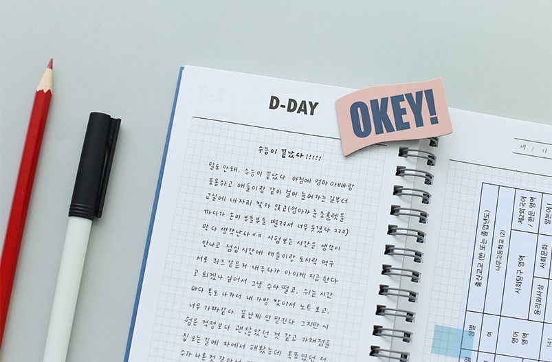 100 Day Daily Planner