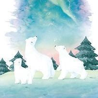 My Story Cornell Notebook, Shining Polar Bear