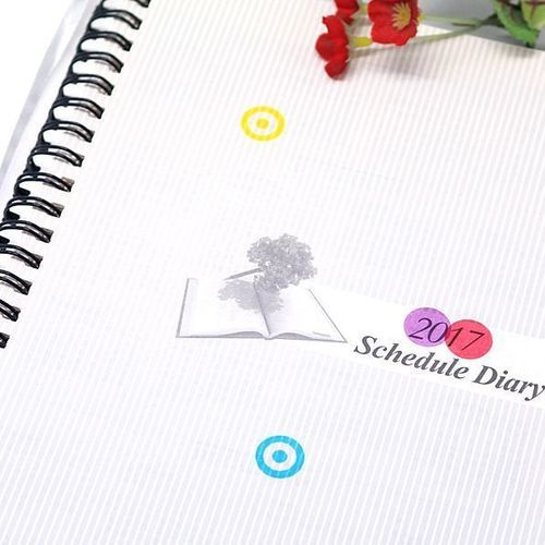 Millo Deco Sticker - Image 5