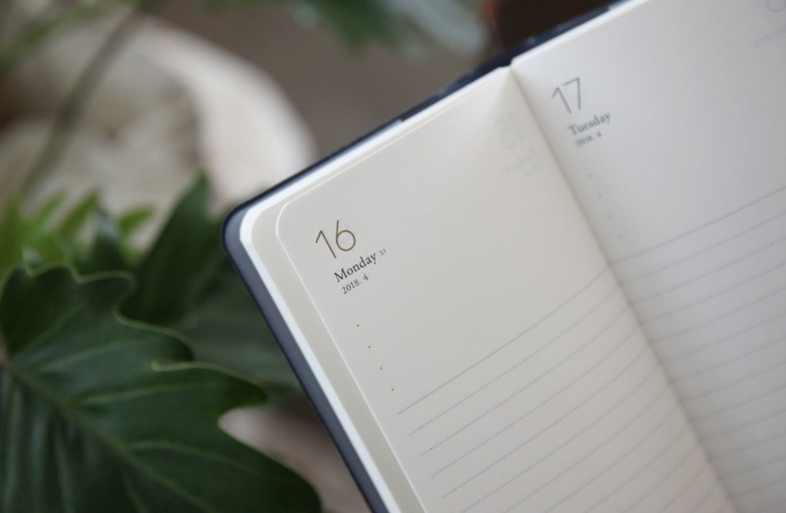 2018 Comfy & Roomy Daily Planner