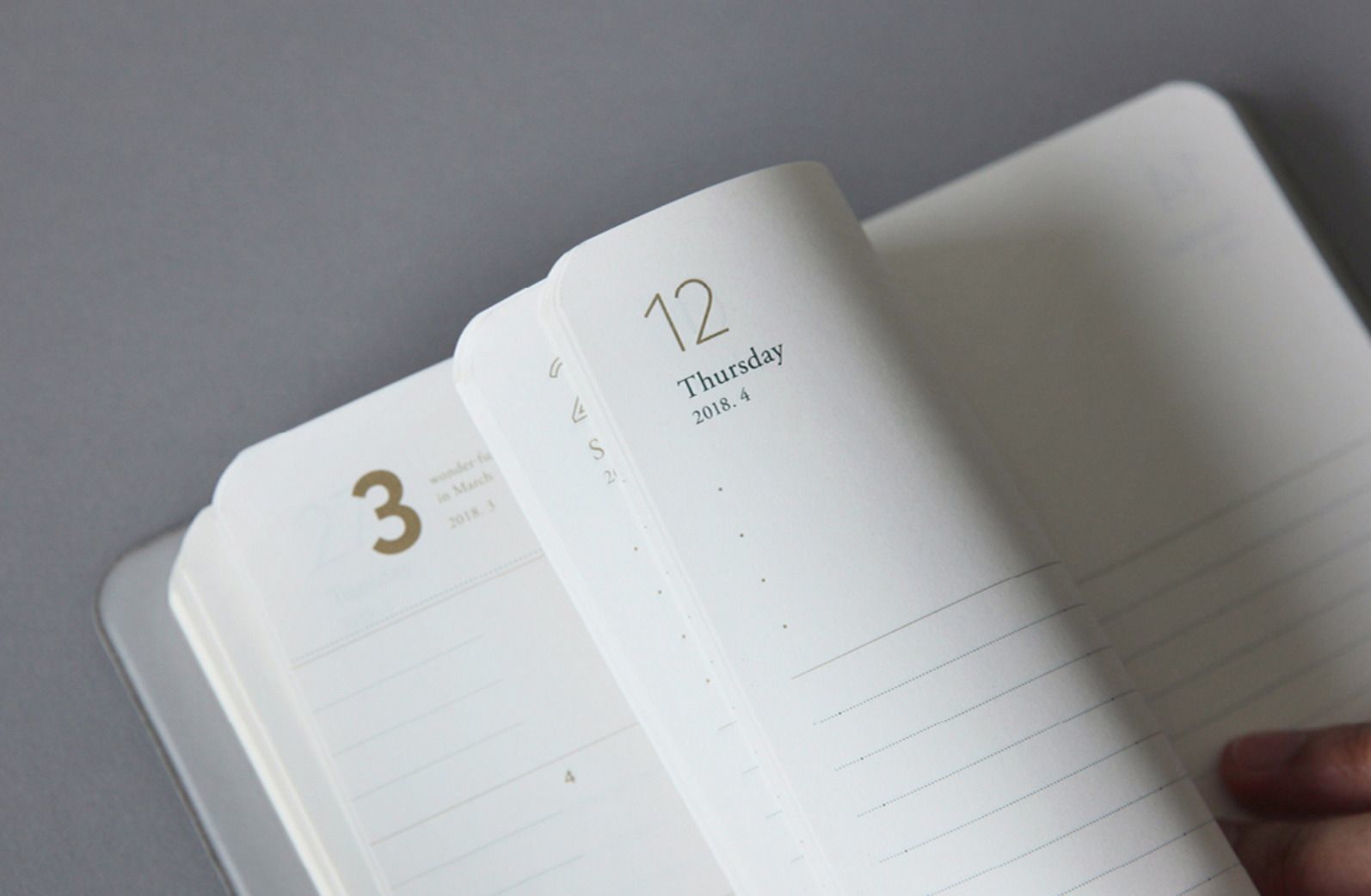 2018 Comfy & Roomy Daily Planner