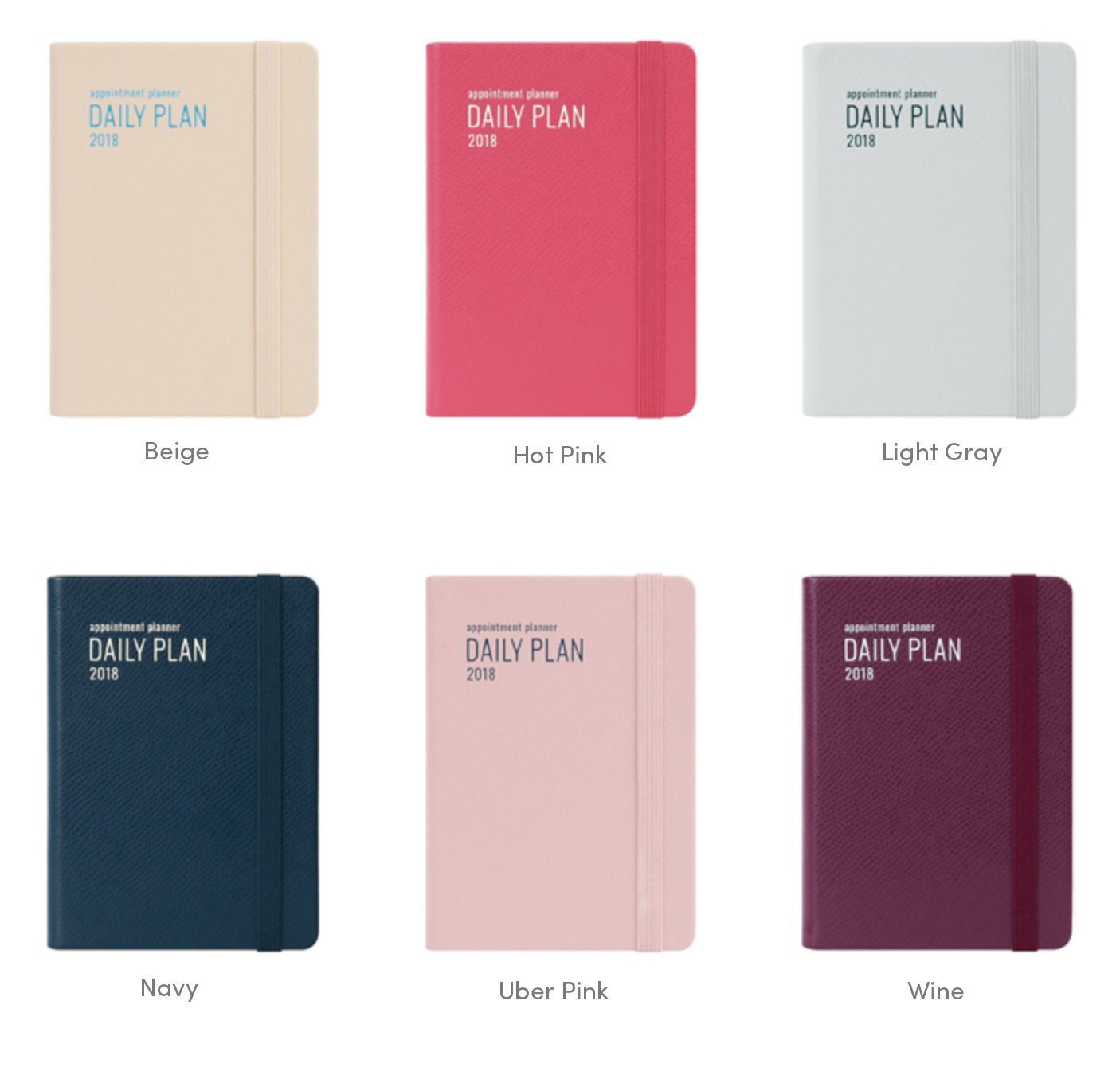 2018 Daily Appointment Planner