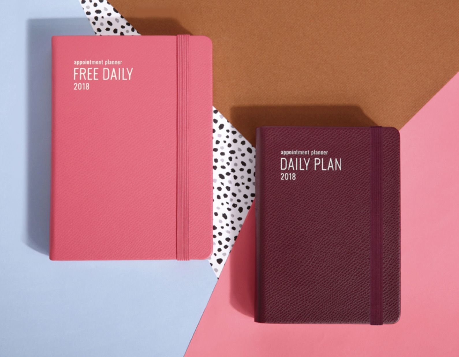 2018 Daily Appointment Planner