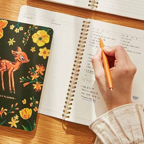 Vintage Fairy Tale Daily Planner v2