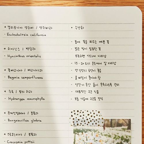 Vintage Fairy Tale Daily Planner v2