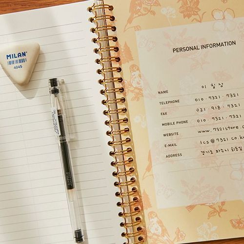 Vintage Fairy Tale Daily Planner v2