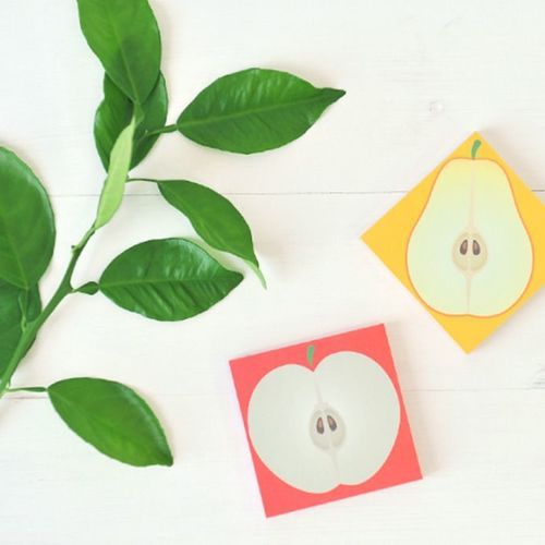 Fruit Slice Memo Set - Image 3