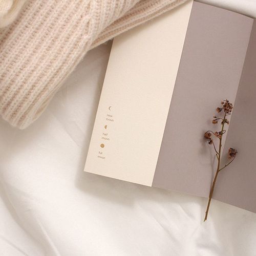 2019 Small Moon Weekly Scheduler
