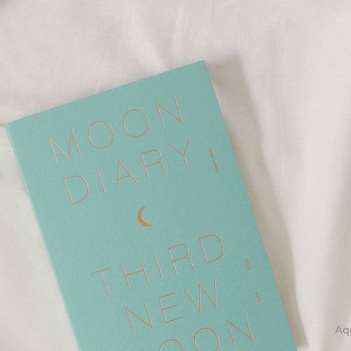 2019 Small Moon Weekly Scheduler