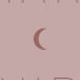 2019 Small Moon Weekly Scheduler, Rose Pink