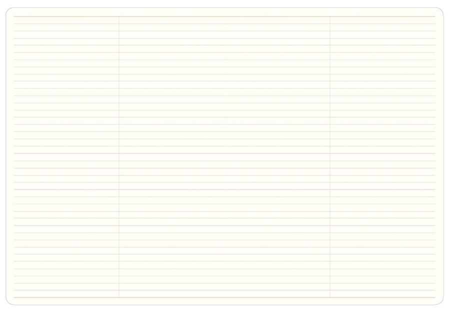 2019 Large Slim & Wide Weekly Planner