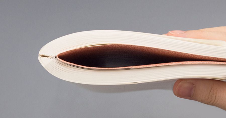 2019 Large Slim & Wide Weekly Planner