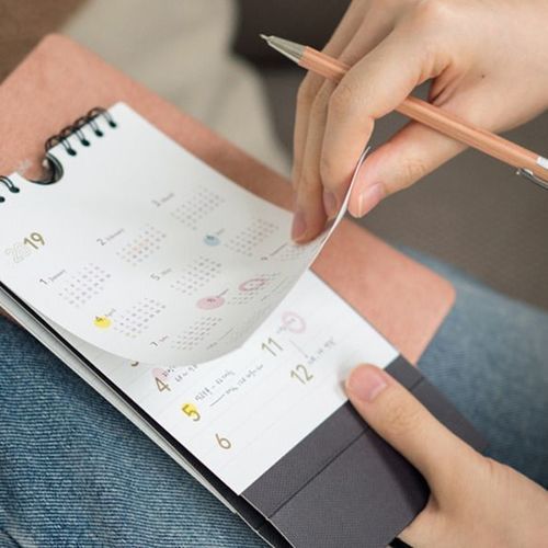2019 Mini Basic Wall Calendar