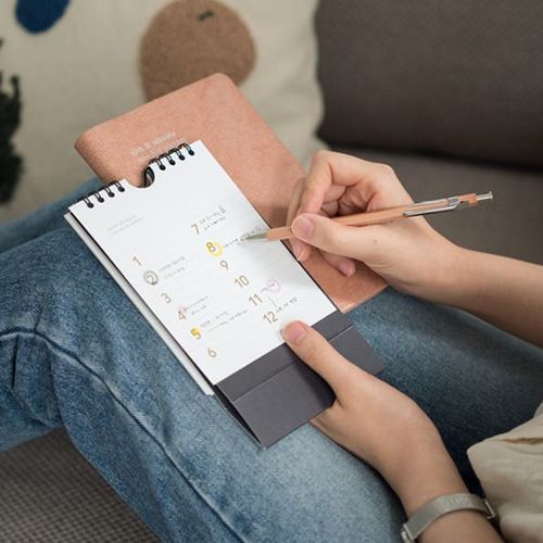 2019 Mini Basic Wall Calendar