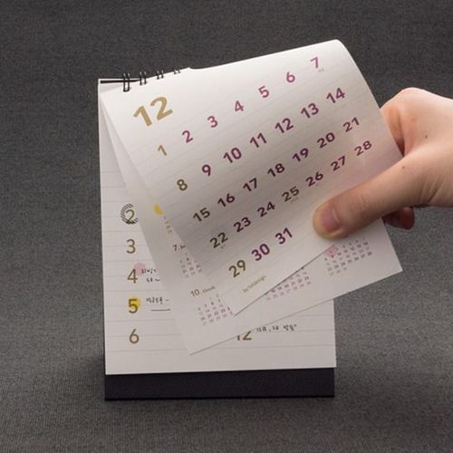 2019 Mini Basic Wall Calendar