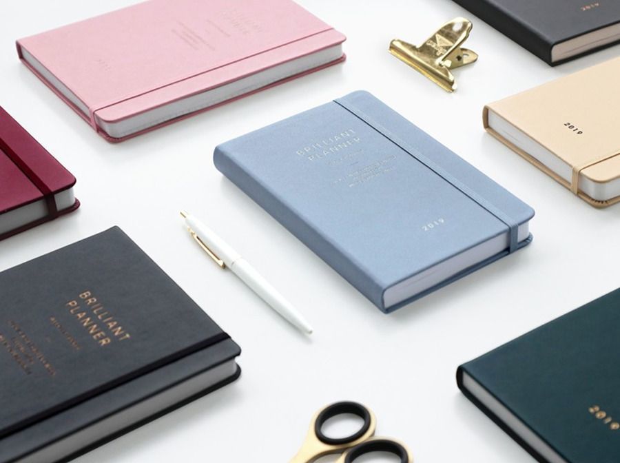 2019 Brilliant Daily Planner